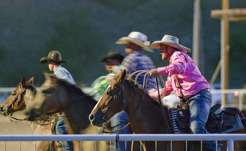 rodeo catroncountyfair horses caballos cowboys newmexico reserve usnm us