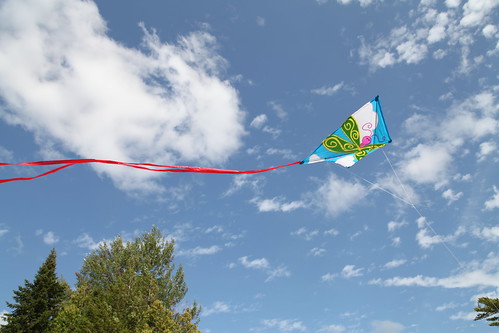 2017 canada newbrunswick nb skifflake kites