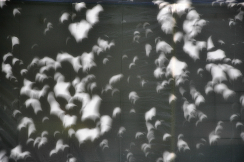 Crescent Eclipse Shadows @ Mt. Hope Chronicles