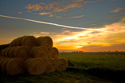 bales round farming straw cows fields cattle dawn sunrise morning lanscape thorntonabbey sunlight northlincolnshire stack canon eos5dmkiv ef2470f28llusm vapourtrails england humberside clouds
