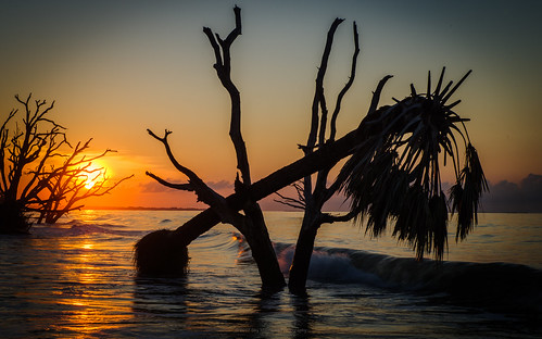 edistoisland hurricaneirma hurricanematthew boneyard trees dancing sunrise beach charleston southcarolina palmetto oak waves atlantic ocean pentaxk1 pentax2470mm