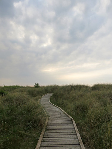 A wooden walkway though the Gronant Dunes in northern Wales