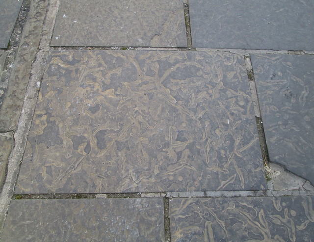 fossil paving , Stromness, Orkney