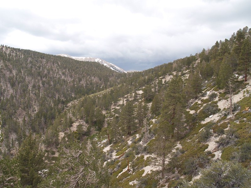 San Gorgonio Mountain and Jepson Peak above Fish Creek Saddle from the Fish Creek Trail