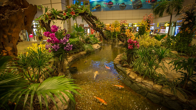 Singapore Changi Airport T2 - Orchid Garden 006