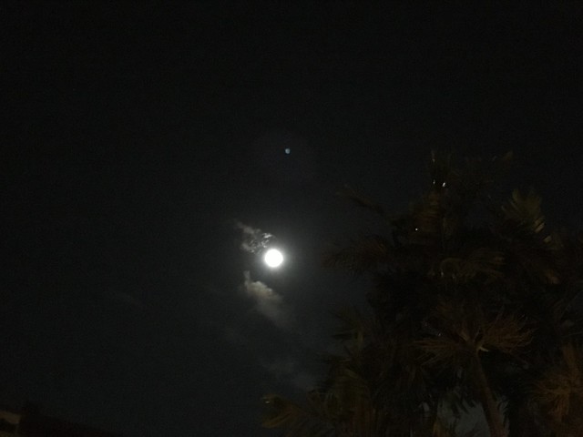 Full moonlight