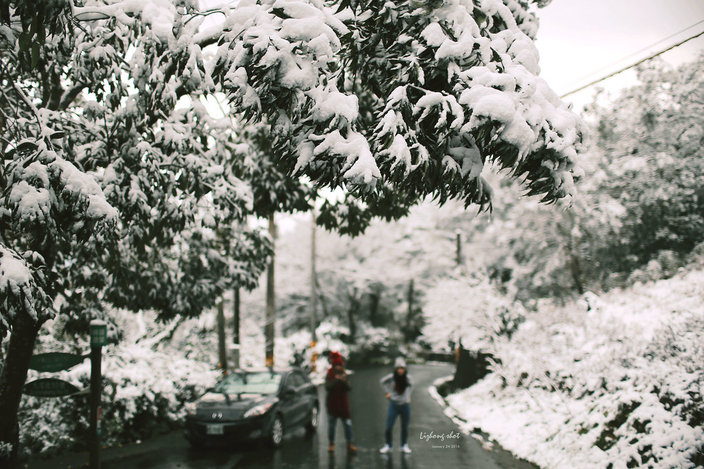 台北的雪後散步