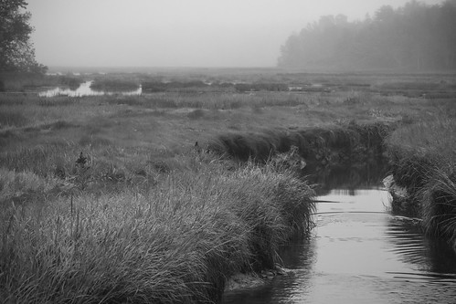 marsh wetlands grasses fog water weskeagmarsh souththomaston maine nikond3300 mamiyasekor80mmf28 mamiyaprime prime lens primelens landscape blackandwhite monochrome monochromatic