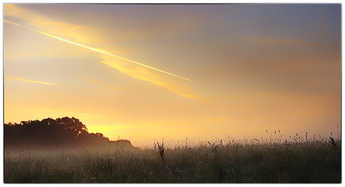 elstead england unitedkingdom gb sunrise landscape