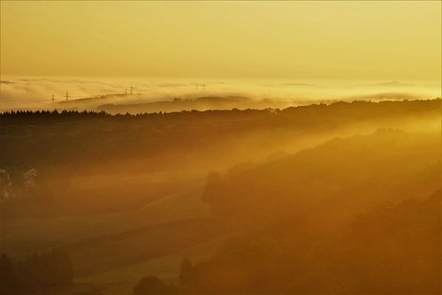 sunrise dawn autumn eifel germany deutschland fall sun fog nebel