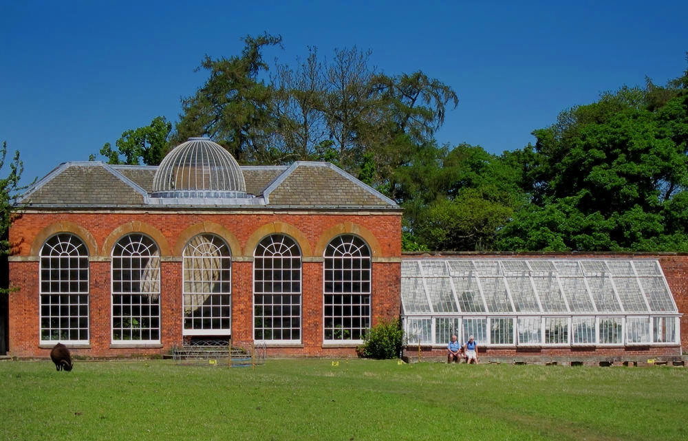 The Orangery , Calke Abbey. Credit Phil Sangwell
