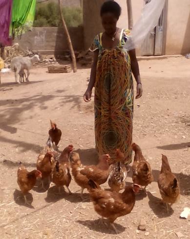 Meseret takes good care of her ACGG chickens (photo credit: Shumiye Belay)