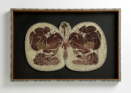 Quilled Male Pelvis by Lisa Nilsson