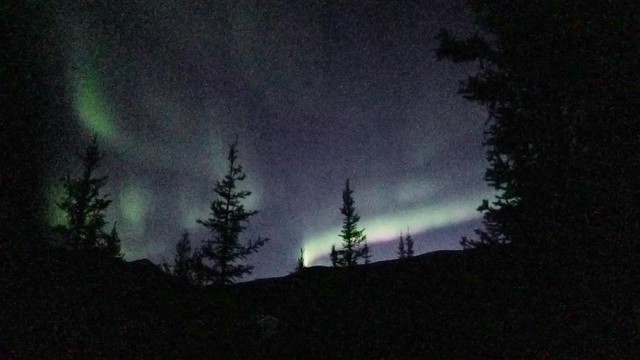 Real Time Northern Lights Video
