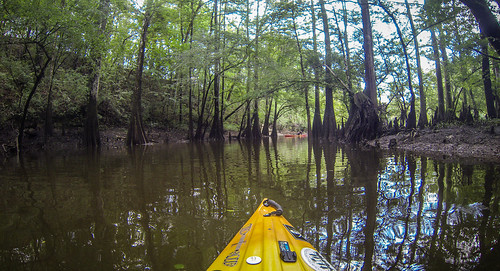 Lynches River with Lowcountry Unfiltered-37