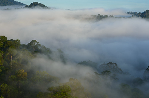 lahaddatu sabah malaysia borneo fog landscape rainforest morning geotagged