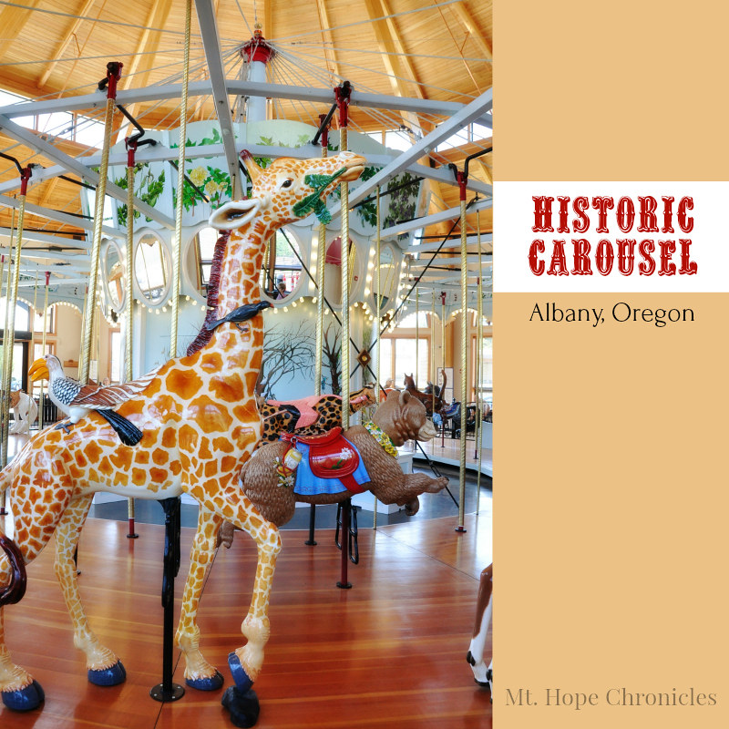 Carousel (4) @ Mt. Hope Chronicles