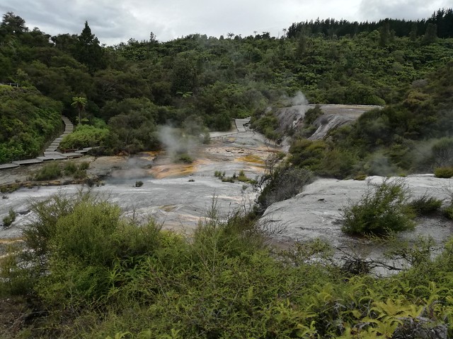 NUEVA ZELANDA. POR LA TIERRA DE LA LARGA NUBE BLANCA - Blogs de Nueva Zelanda - Orakei Korako: "El Valle Oculto" de Nueva Zelanda (17)