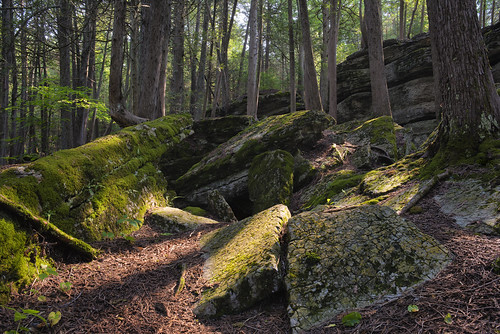 warsawcavesconservationarea ontario landscape nature rocks moss green hiking trail warsaw canada ca