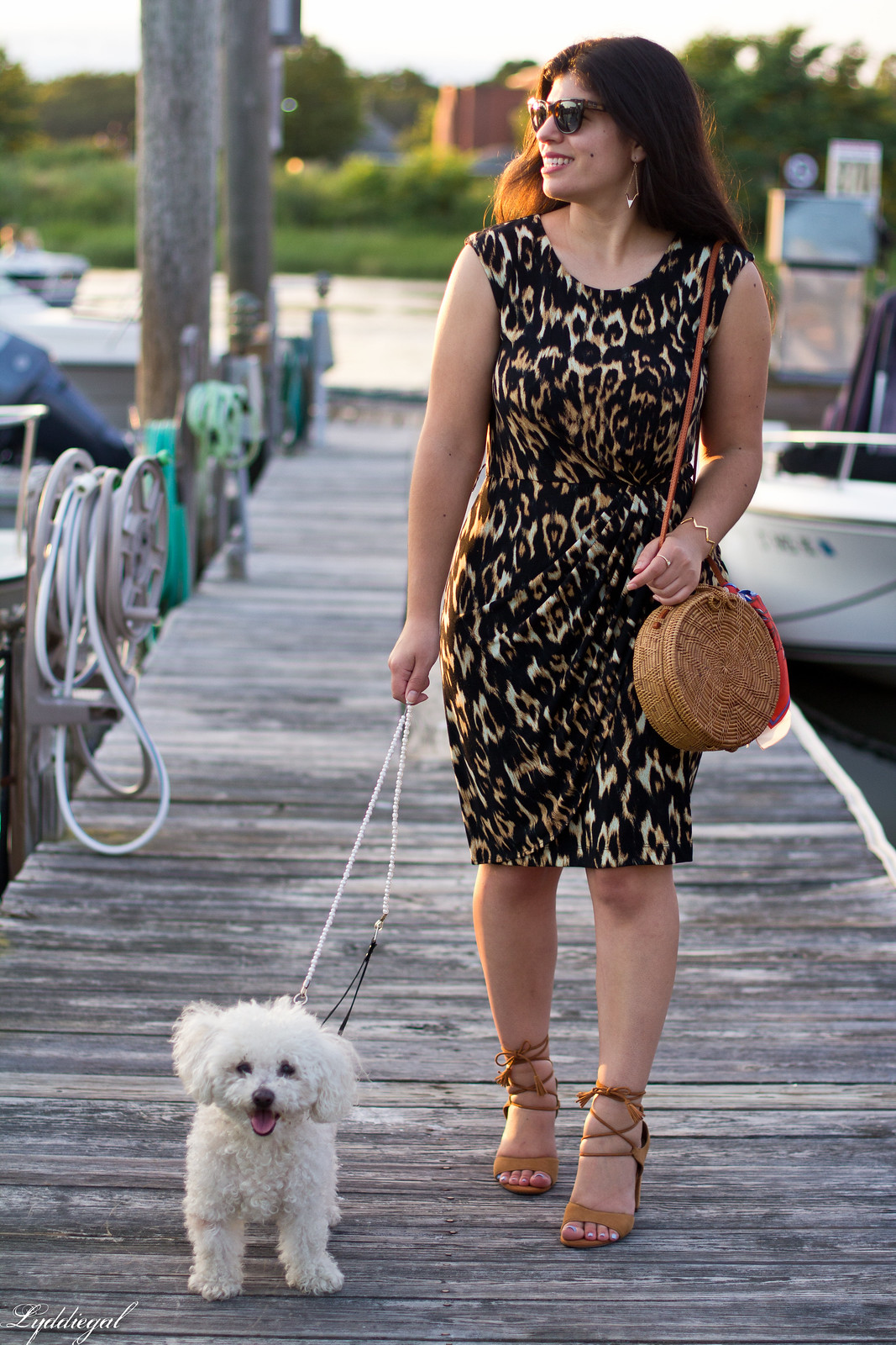 leopard sheath dress, round rattan bag, dog walking-11.jpg
