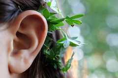 inflammation of the ear