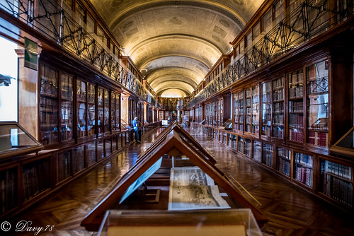 Biblioteca reale di Torino