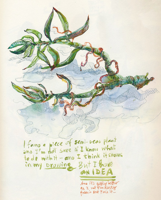 Sketchbook #107: Succulent