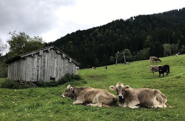 Vorarlberg, Austria 2017 117