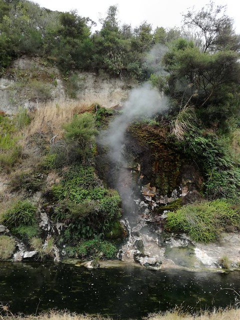 NUEVA ZELANDA. POR LA TIERRA DE LA LARGA NUBE BLANCA - Blogs de Nueva Zelanda - Valle volcánico de Waimangu (23)