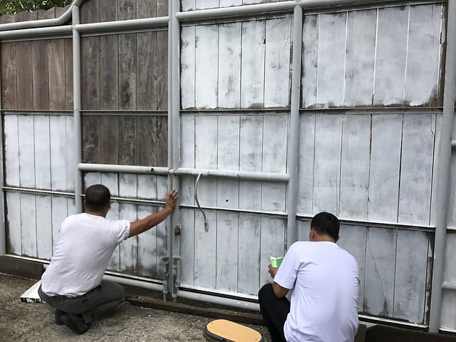 Painting the gate