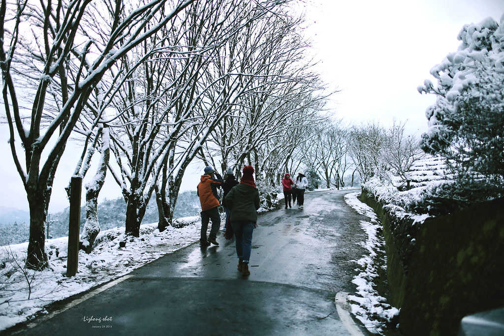 台北的雪後散步