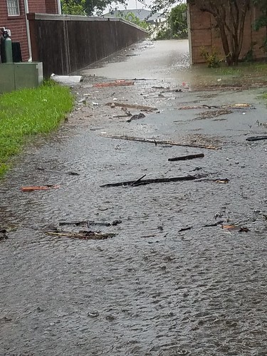 hurricane harvey neighborhood neighbor flood