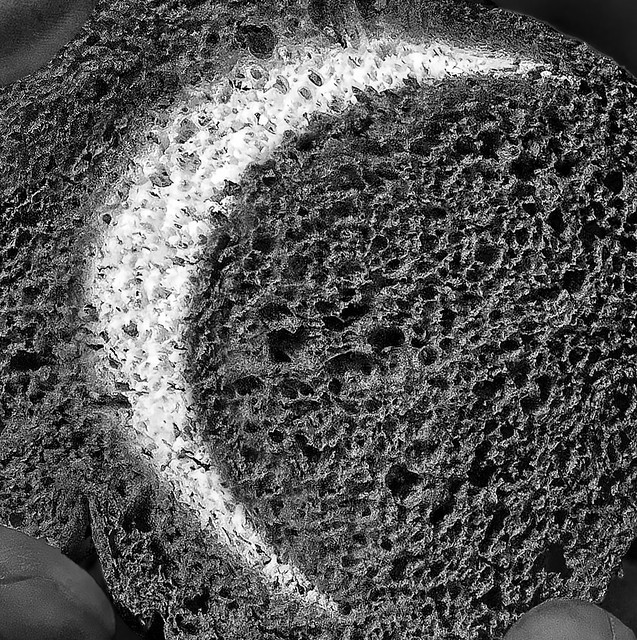Eclipse Bread (Solar projection 15x)