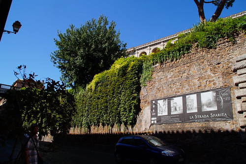 Villa Farnesina, Gianicolo, Sta. María in Trastévere, Chiesa Nuova, 7 de agosto - Milán-Roma (61)