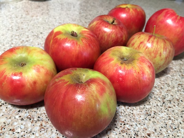 Apples today