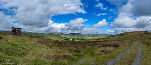 langholm whitahill scotland scottishborders dumfriesandgalloway clouds landscape ©davidliddle ©camraman hughmacdiarmid memorial cairn ewesvalley
