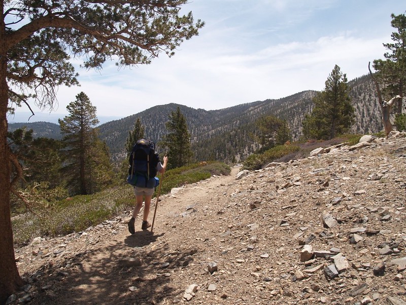 It's much more enjoyable to descend the Fish Creek Trail than climb it - faster, too!