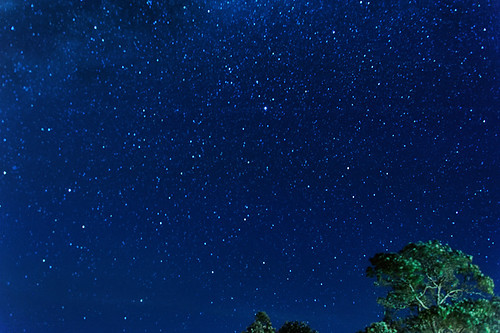 usa hawaiii bigisland island hawaiivolcanoesnationalpark volcano d70028300 star sky night starclouds tree