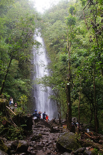 179 Manoa Falls