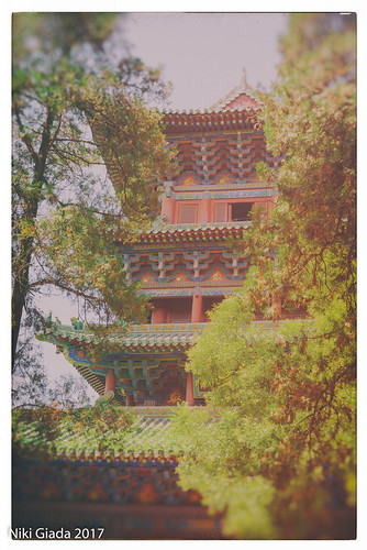 shaolin temple china henan monks buddhism