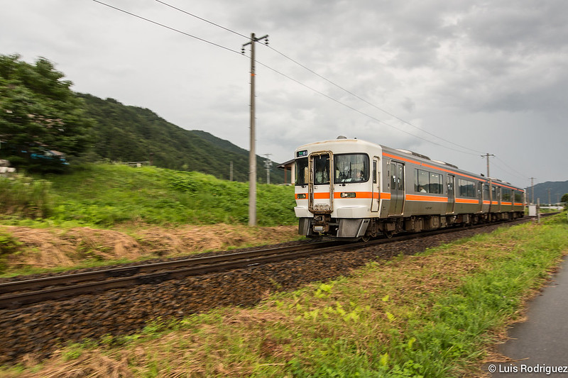 Tren rural, entre campos de arroz y montañas