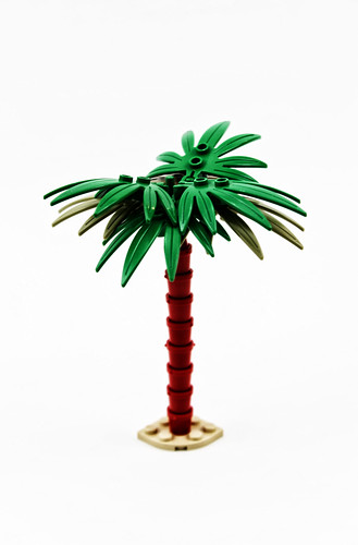 Palmtree.
