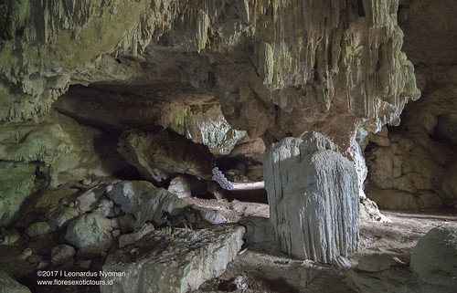 liangwoja liangwojalimestonecave golovillage cibalsubdistrict kabupatenmanggarai manggarairegency pagal ruteng floresisland cave nature stone stalagtic stalagmite