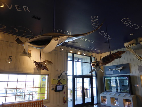 southcarolina maritimecenter fish museum