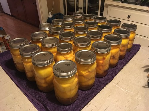 50 pounds of peaches