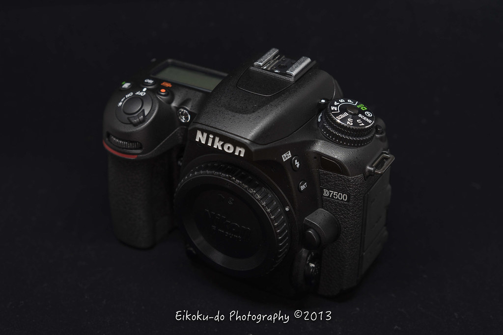 Nikon D7500 購入