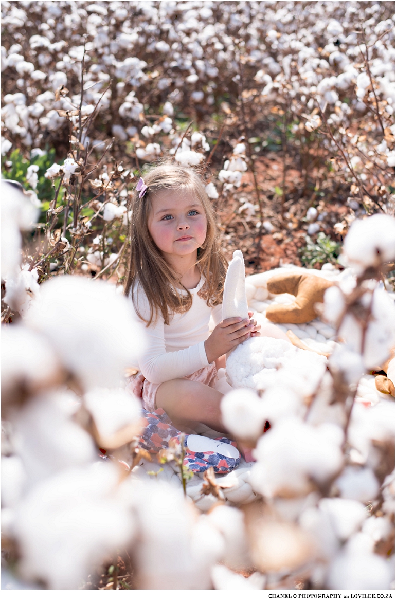 Cotton fields and little ones collaborative