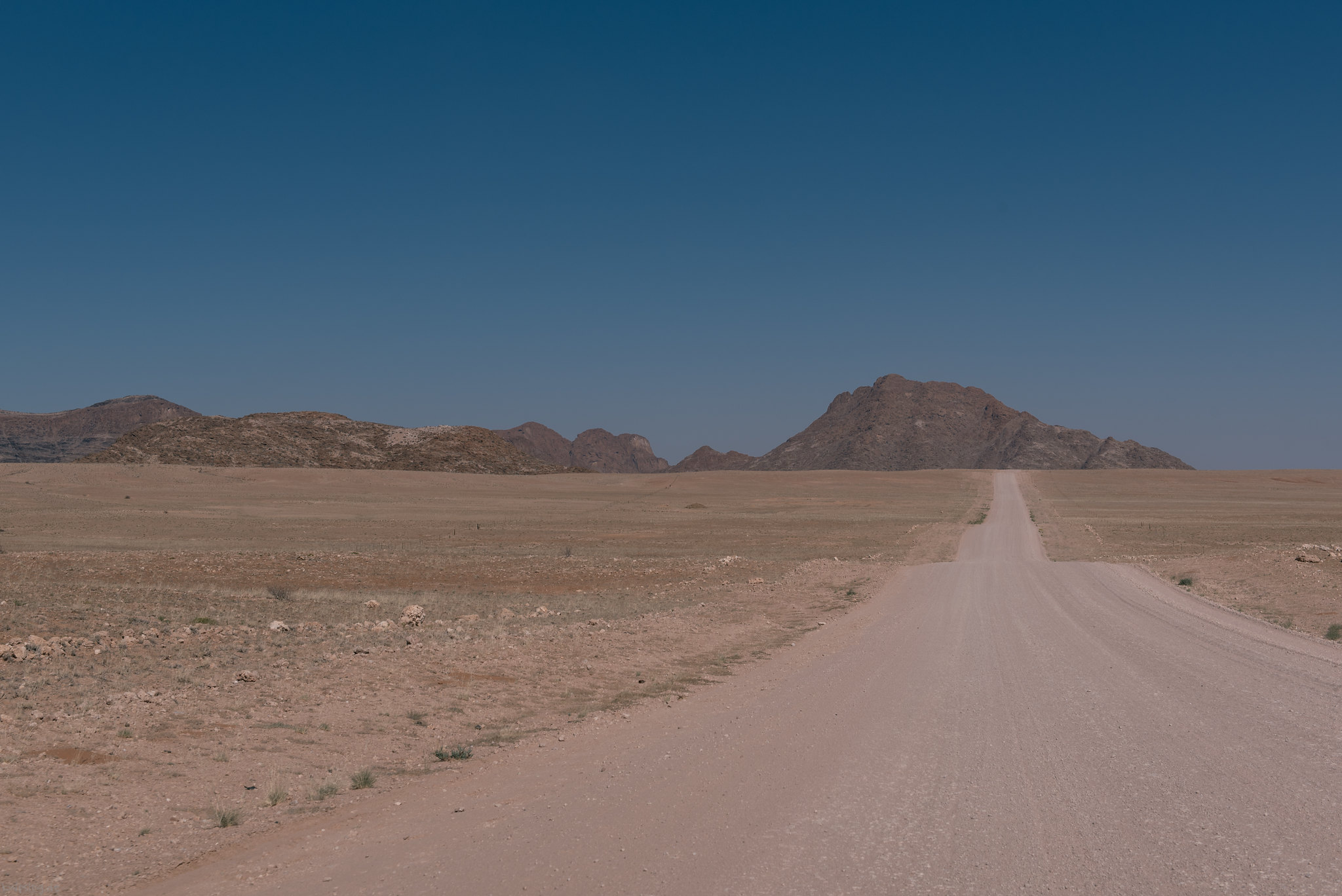 Desert drive