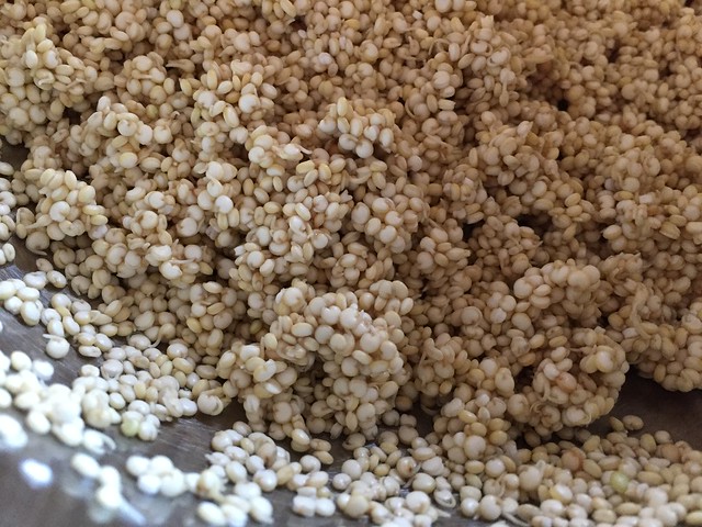 Sprouted quinoa