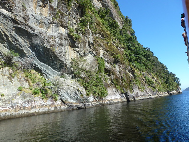 Doubtful Sound. Pequeña ruta por Kepler Track. - NUEVA ZELANDA. POR LA TIERRA DE LA LARGA NUBE BLANCA (28)